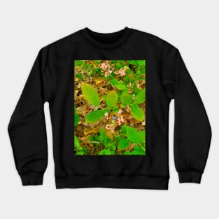 Wild Blueberries Crewneck Sweatshirt